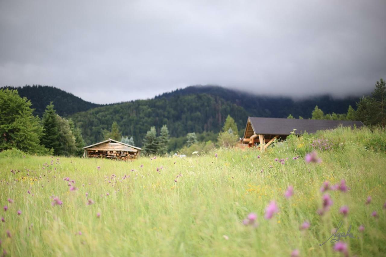 Apartament Królewski – Zakopane Exterior foto